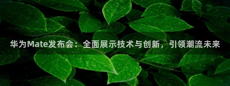 袋鼠体育直播下载：华为Mate发布会：全面展示技术与创新，引领潮流未来