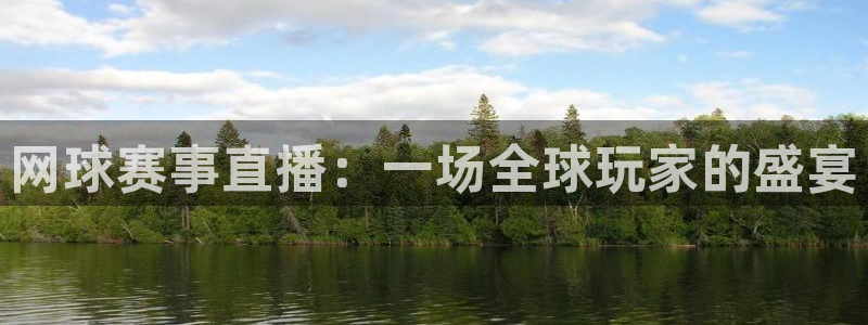 袋鼠直播：网球赛事直播：一场全球玩家的盛宴