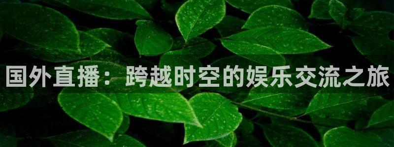 袋鼠直播篮球：国外直播：跨越时空的娱乐交流之旅