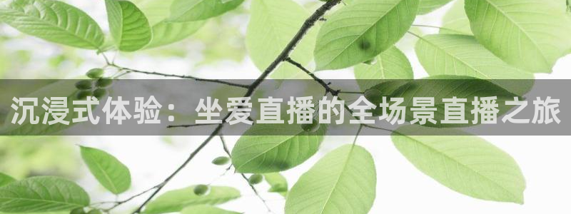 袋鼠直播：沉浸式体验：坐爱直播的全场景直播之旅