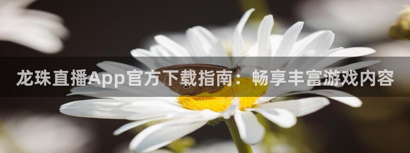 袋鼠足球免费直播：龙珠直播App官方下载指南：畅享丰富游戏内容