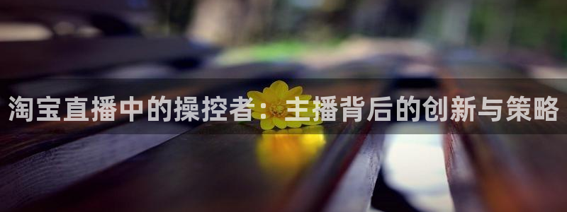 袋鼠nba体育：淘宝直播中的操控者：主播背后的创新与策略