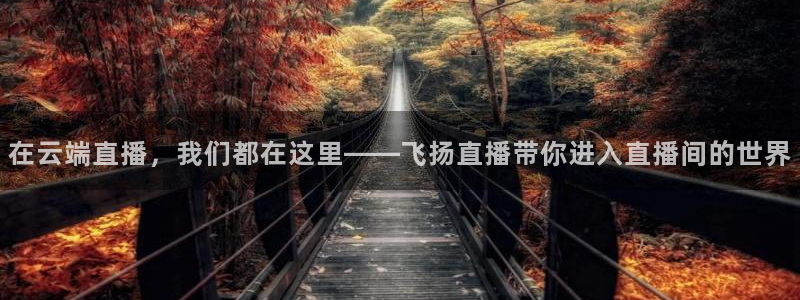 袋鼠直播nba在线观看：在云端直播，我们都在这里——飞扬直播带你进入直播间的世界