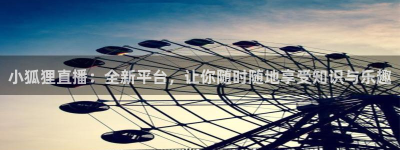 袋鼠直播体育五大球联赛：小狐狸直播：全新平台，让你随时随地享受知识与乐趣