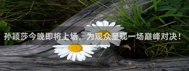 袋鼠体育免费观看：孙颖莎今晚即将上场，为观众呈现一场巅峰对决！