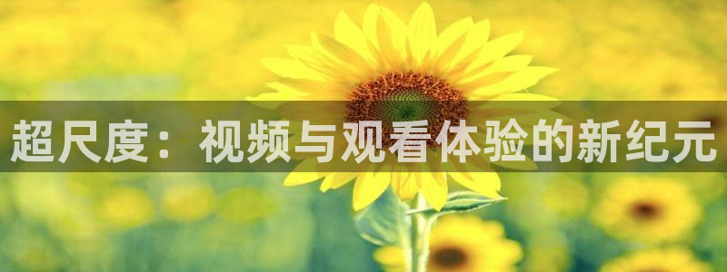 袋鼠直播在线观看nba：超尺度：视频与观看体验的新纪元
