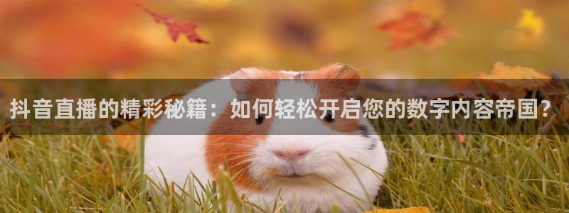 nba袋鼠直播：抖音直播的精彩秘籍：如何轻松开启您的数字内容帝国？