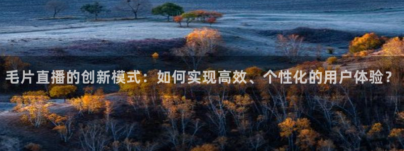 足球直播袋鼠：毛片直播的创新模式：如何实现高效、个性化的用户体验？