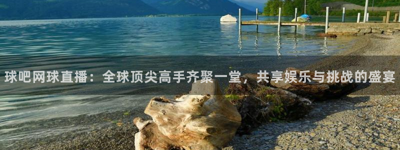 袋鼠直播看nba比赛：球吧网球直播：全球顶尖高手齐聚一堂，共享娱乐与挑战的盛宴